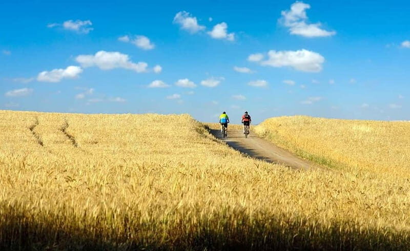From Siena: Chianti Electric Bike Tour - Key highlights worth planning for