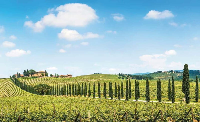 From Siena: Chianti Electric Bike Tour - Why Chianti feels like a different world on an e-bike