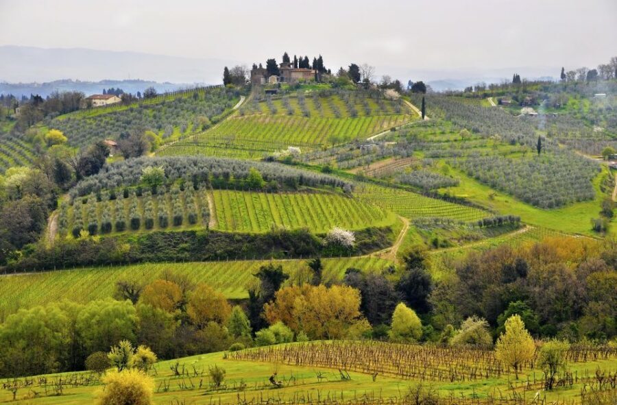 From Siena: Chianti Electric Bike Tour - Winery lunch and wine tasting: what you’ll actually get