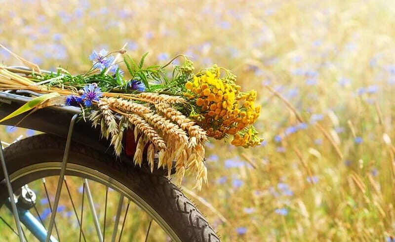 From Siena: Chianti Electric Bike Tour - Getting from Siena to the Chianti area by minivan