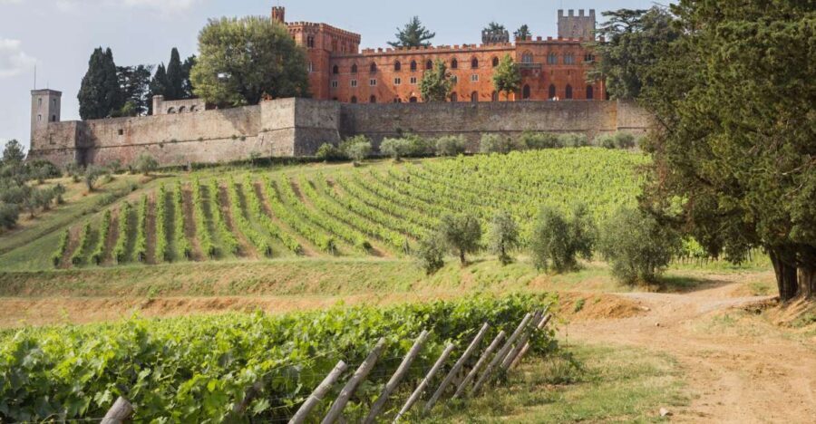 From Siena: Chianti Wine Tour with Lunch - From Siena to Chianti: the drive that sets the tone