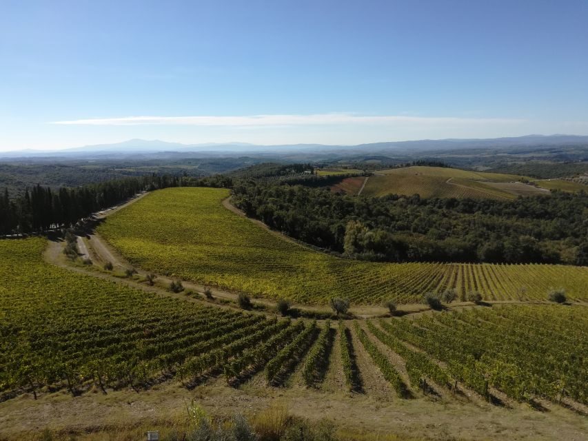 From Siena: Chianti Wine Tour with Lunch - Fortresses, old borders, and hilltop towns on the way