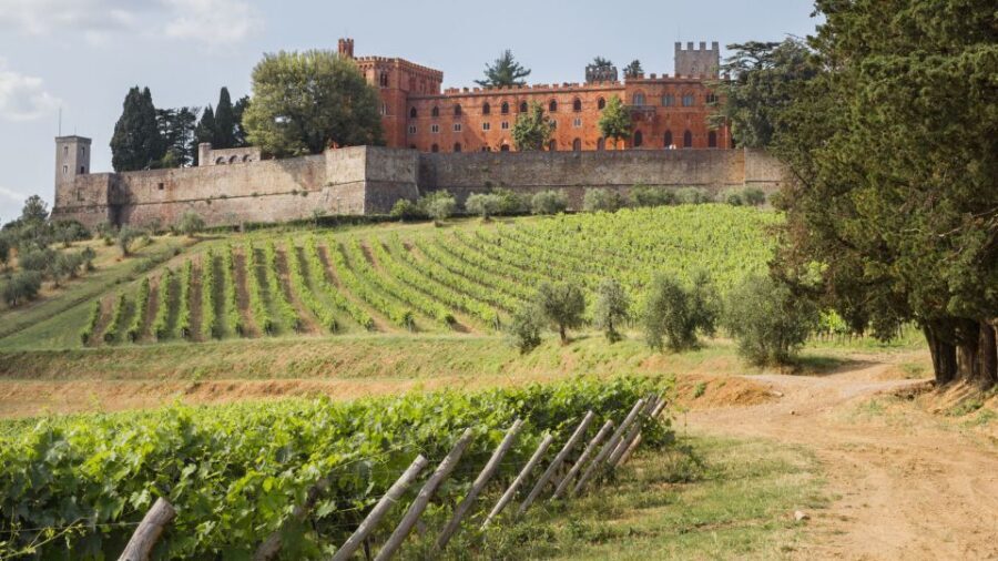 From Siena: Chianti Wine Tour with Lunch - Traditional Tuscan lunch with wine: more than a break