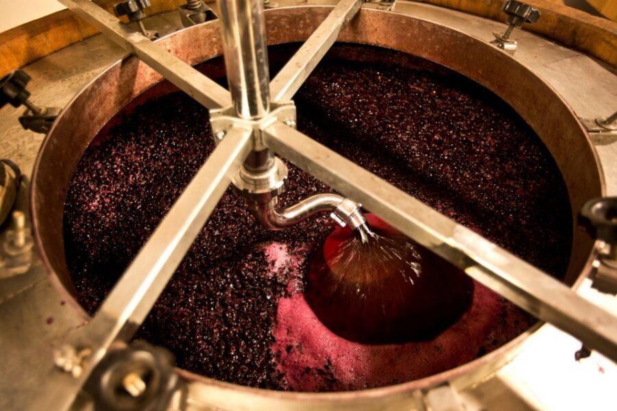 From Siena: Chianti Wine Tour with Lunch - Who should book this Siena Chianti tour (and who might skip it)
