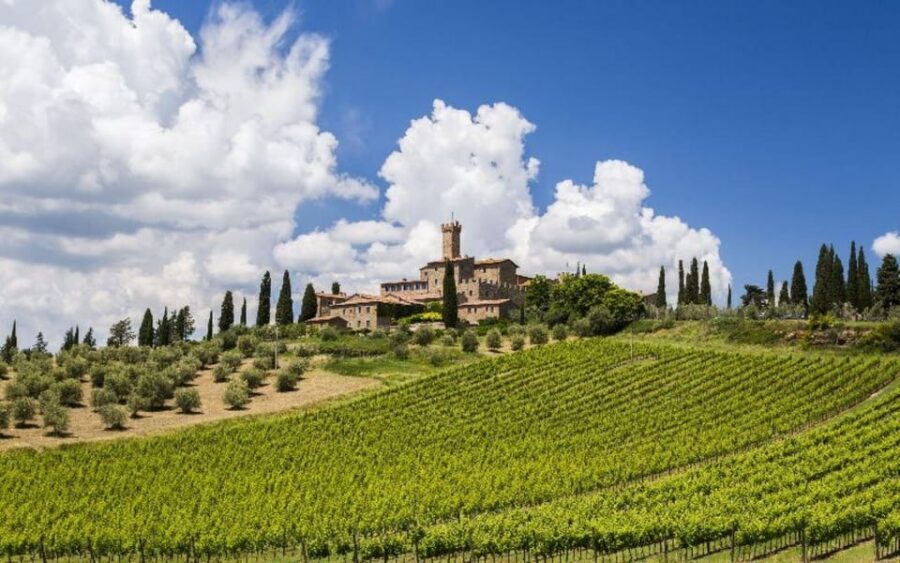 From Siena: San Gimignano, Chianti, and Montalcino Day Trip - A Full Day of Towers, Fortresses, and Three Wine Zones