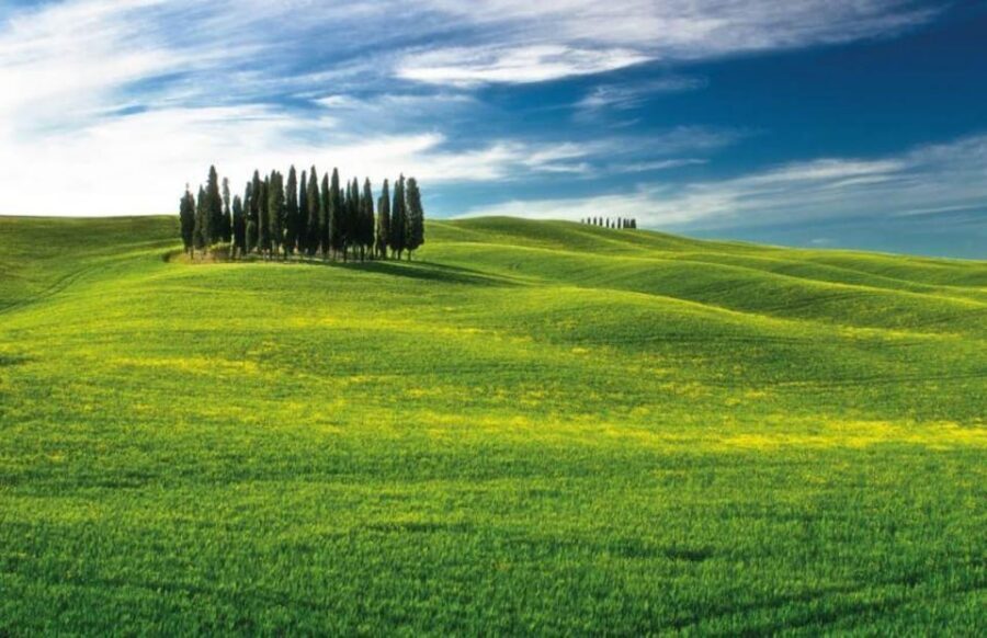 From Siena: San Gimignano, Chianti, and Montalcino Day Trip - Chianti Winery Tasting: Olive Oil, Balsamic, and Four Wine Styles
