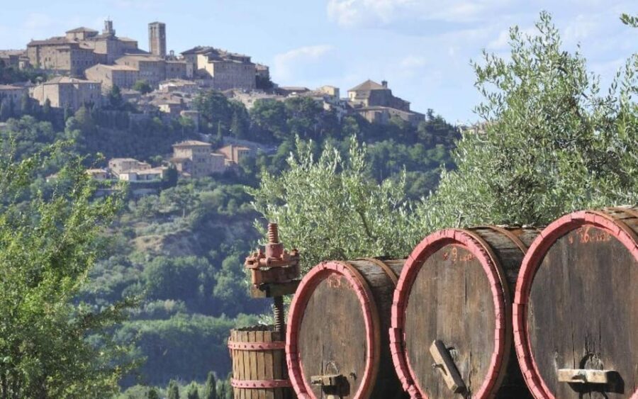From Siena: San Gimignano, Chianti, and Montalcino Day Trip - Montalcino: Brunello Vineyards and Cellar Tastings
