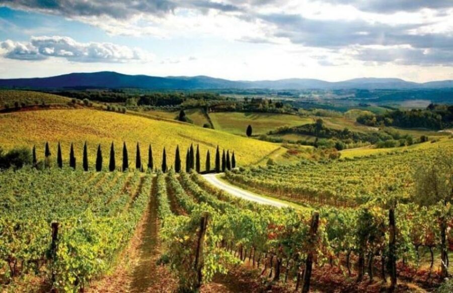 From Siena: San Gimignano, Chianti, and Montalcino Day Trip - FAQ