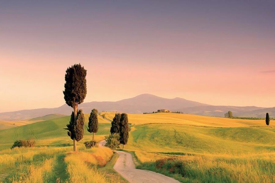 From Siena: Tuscany Hills Wine Tour - Pienza in Val d’Orcia: why your free time is the real payoff