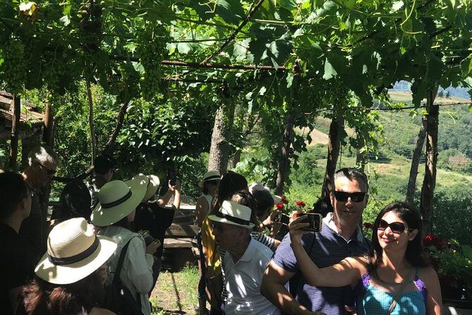 Full-Day Chianti Tour by Vespa Scooter from San Gimignano - Monteriggioni After the Wine: Why One Hour Matters