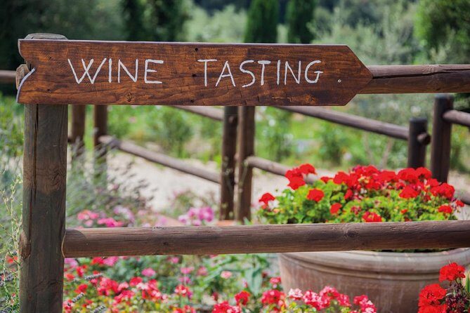 Full-Day Chianti Tour by Vespa Scooter from San Gimignano - Riding Through the Chianti Hills: What You’ll Actually See