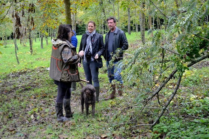 Full-Day Small-Group Truffle Hunting in Tuscany with Lunch - Key highlights you’ll feel on the day