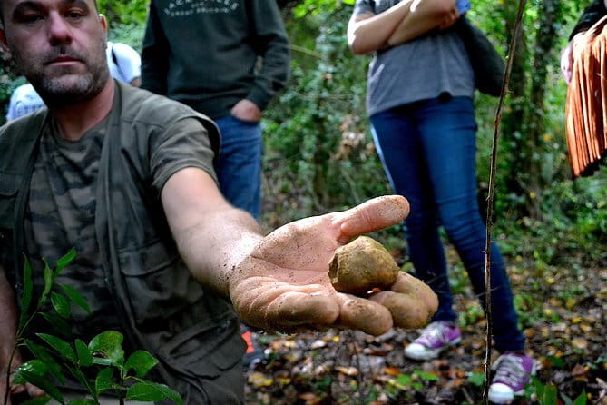 Full-Day Small-Group Truffle Hunting in Tuscany with Lunch - What to wear (and why muddy woods are not a joke)