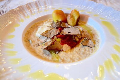 Full-Day Small-Group Truffle Hunting in Tuscany with Lunch - The truffle hunt: following the handler and reading the dog’s signals