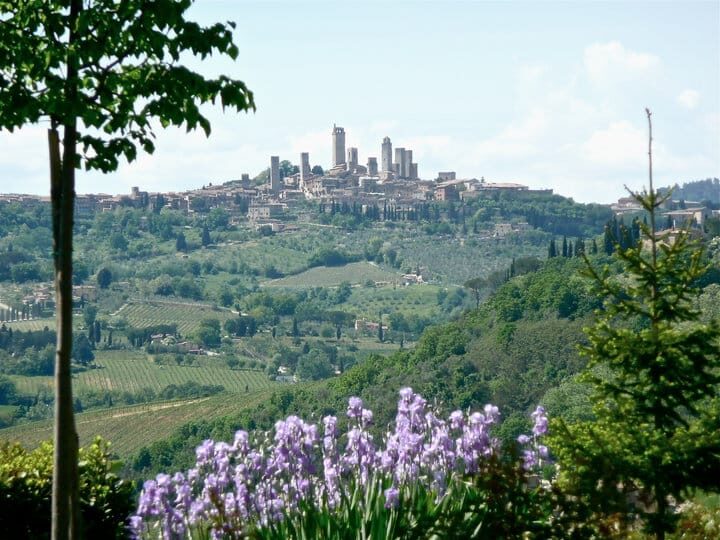 Full-Day Tour of Tuscany from Florence-small group up 8 pax - Should You Book This Tuscany Small-Group Tour?