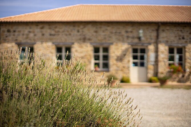Gourmet Wine & Food Tasting - Who Should Book This Tasting (and Who Might Skip It)