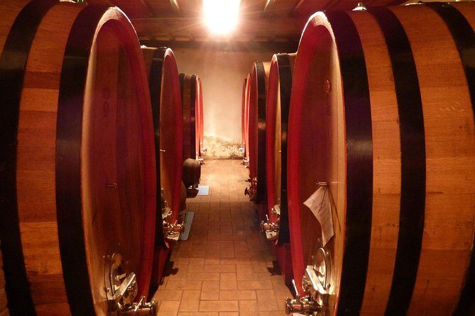 Gourmet Wine Tour San Gimignano Wine Tasting - San Quirico Winery - What you’ll learn in the cellar: their winemaking techniques in plain English