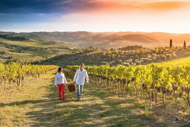 Grape Stomping and Wine Tasting in Tuscany - Grape stomping in wooden barrels: what technique training actually helps