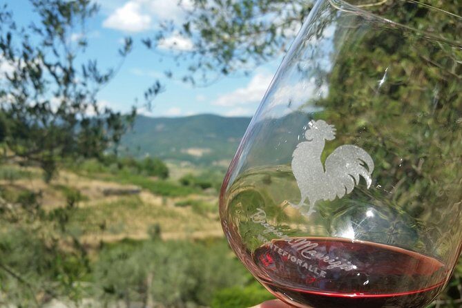 Greve in Chianti Wine Tasting and Winery Tour - Key highlights that make this tour worth your time
