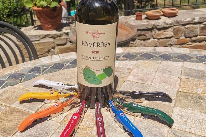 Greve in Chianti Wine Tasting and Winery Tour - Practical tips to make the tasting go smoothly