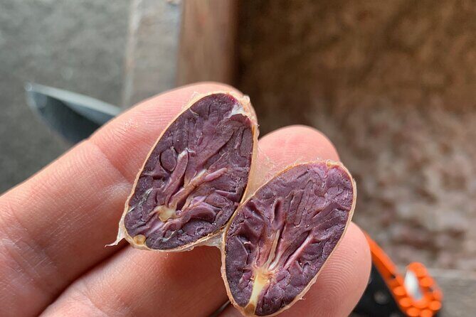 Guided tour of the Artisan Chocolate Factory in Tuscany - Why Val di Nievole’s Chocolate Valley is a smart day trip