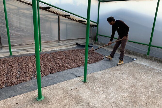 Guided tour of the Artisan Chocolate Factory in Tuscany - Price and value: is $100 worth it?