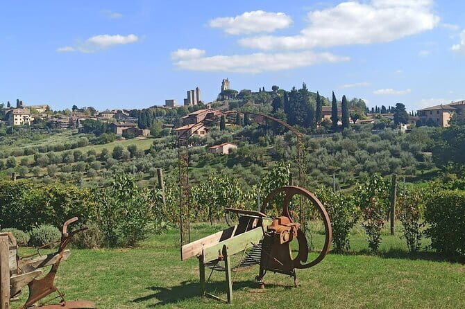 HALF-DAY: Chianti Classic Tour with Wine Experience & visit of San Gimignano - Key things that make this tour worth your time