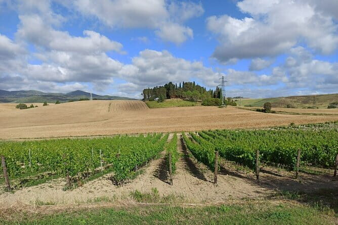 HALF-DAY: Chianti Classic Tour with Wine Experience & visit of San Gimignano - Cantine Guidi in Chianti Classico: what you’ll taste and why it matters