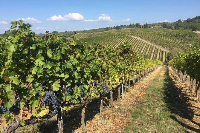 Half-day Chianti Classico Wine tour from Florence - Small Group - The wine and food pairing: what you’ll actually taste