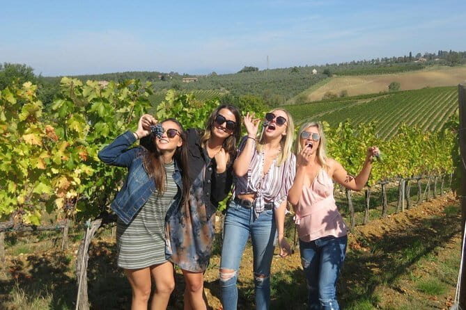 Half-day Chianti Classico Wine tour from Florence - Small Group - The drive through Chianti: olive groves, cypress, and medieval-style stories