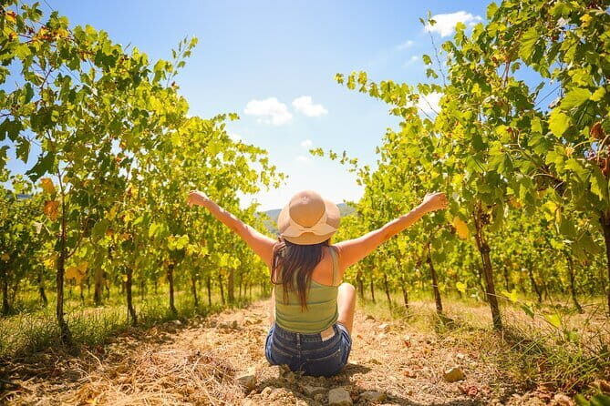 Half day Chianti Vineyard Escape from Florence with Wine Tastings - From Piazzale Montelungo to Chianti Road: how the tour starts