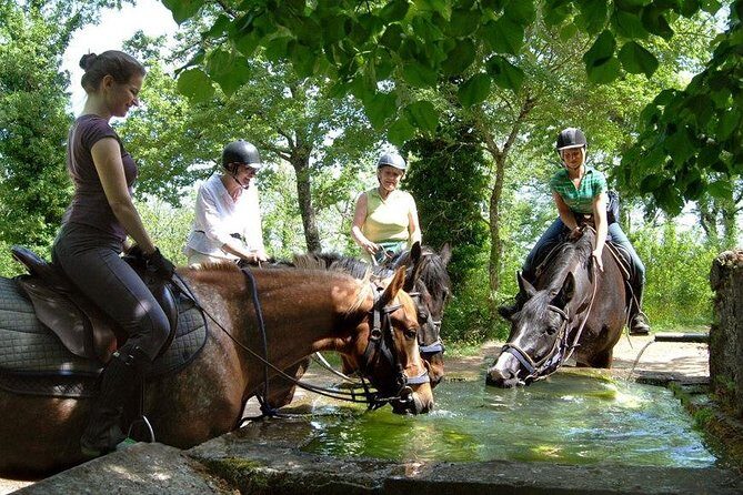 Half-Day Horseback Ride in Tuscany - Getting matched with your horse at Prategiano Stables