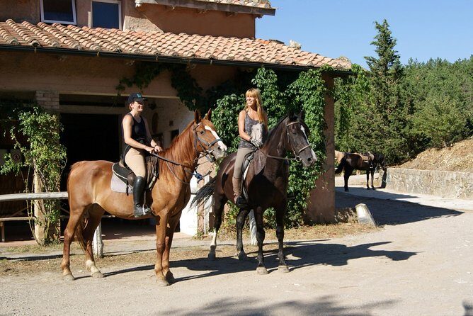 Half-Day Horseback Ride in Tuscany - Montieri Hill: the viewpoint you’ll be thinking about later