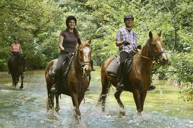 Half-Day Horseback Ride in Tuscany - Small-group pacing and the guide influence