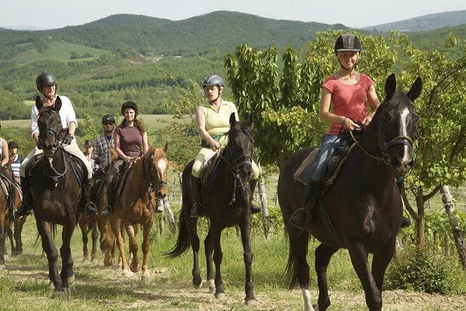Half-Day Horseback Ride in Tuscany - Tack, helmets, and horse care: what to watch for