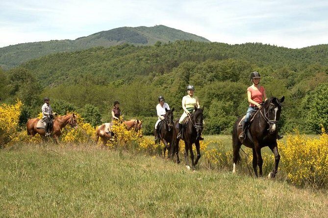 Half-Day Horseback Ride in Tuscany - Price and value: what $118.29 buys you