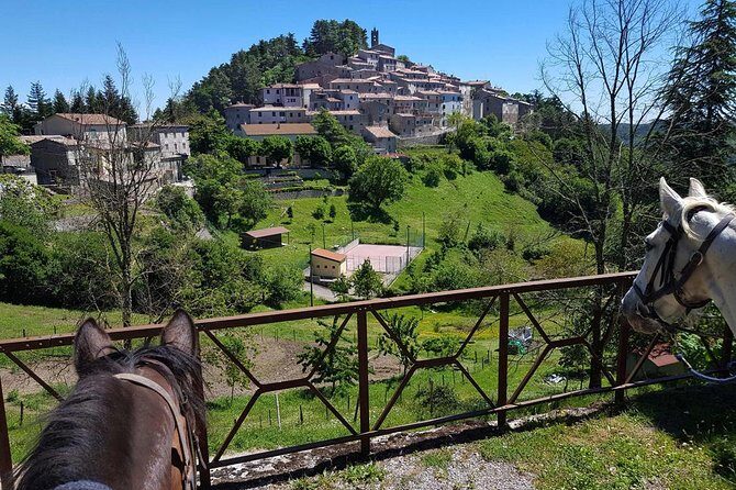 Half-Day Horseback Ride in Tuscany for beginner riders - Walking pace only: why it’s perfect for first-timers (and who should temper expectations)
