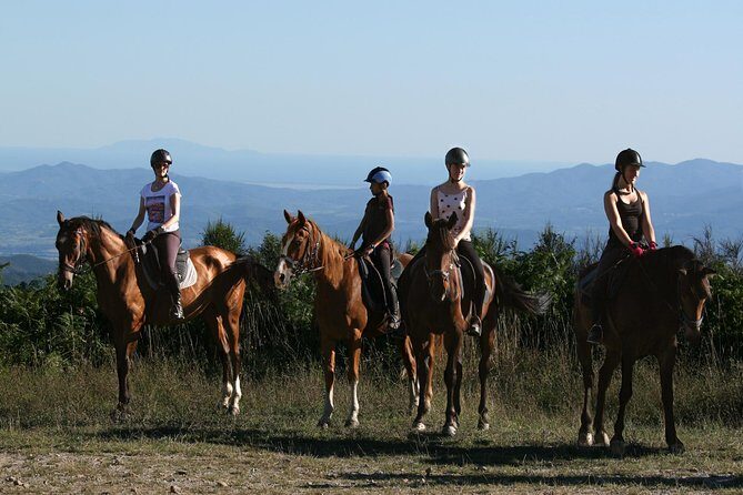 Half-Day Horseback Ride in Tuscany for beginner riders - Your horse and helmet: included safety that isn’t just paperwork