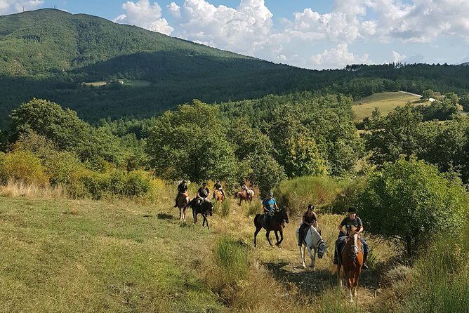 Half-Day Horseback Ride in Tuscany - The route: towns, woods, valleys, and a mostly-walk rhythm