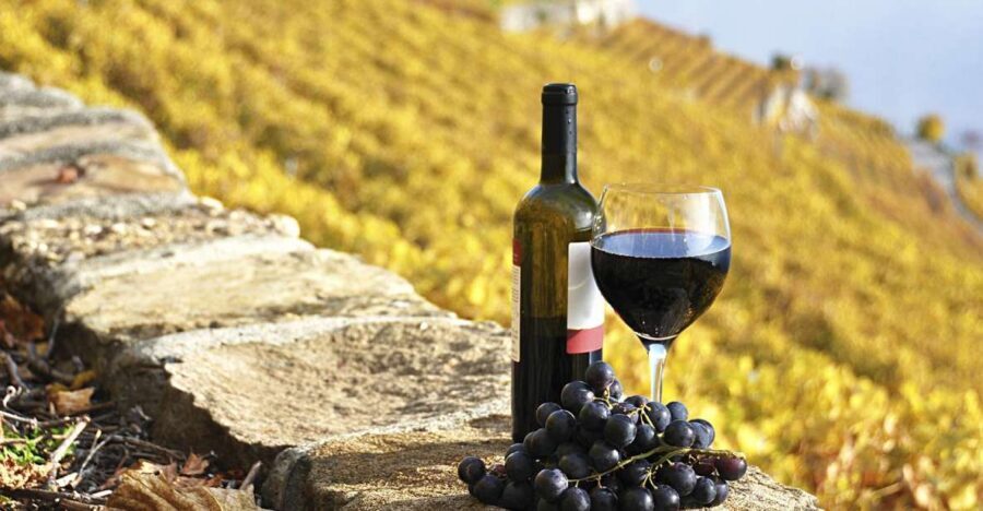 Half-Day Tour from Florence: Chianti Colors & Flavors - Chianti in 5 Hours: Why This Works Great from Florence