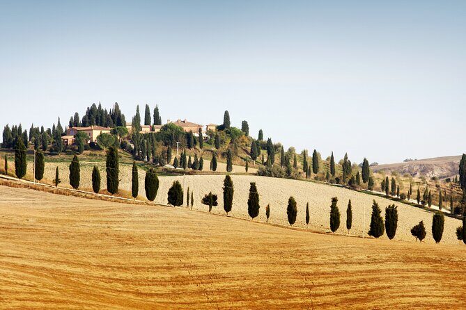 Hidden Castles & Chianti Wine Experience– Small Group - Siena to Chianti: What the 5 Hours Feels Like