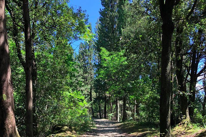 Hiking Florence Tuscany hills with lunch & wine - Lunch at Fattoria di Maiano: what’s served and why it matters