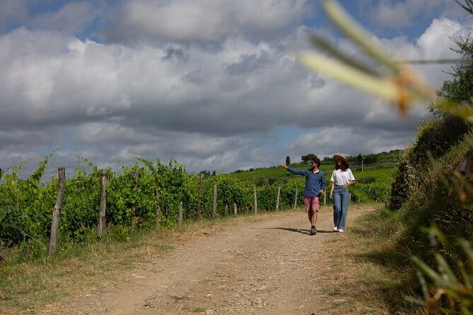 Hiking Tuscany & Chianti Wine - 3 Organic Wineries with lunch - The drive and the countryside: getting oriented before you start tasting