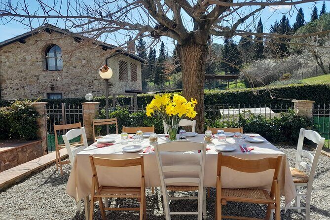 Homemade Pasta Class and Lunch in the Heart of Chianti - The farmhouse welcome: olives, cypresses, and a very Tuscan pace