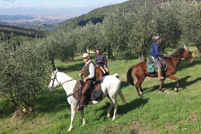 Horse ride, Olive Oil and local foods tasting in a Tuscan farm - Key highlights at a glance