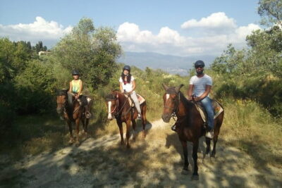 Horse ride, Olive Oil and local foods tasting in a Tuscan farm - Reggello Transfer Time: Switching from City Timing to Farm Timing