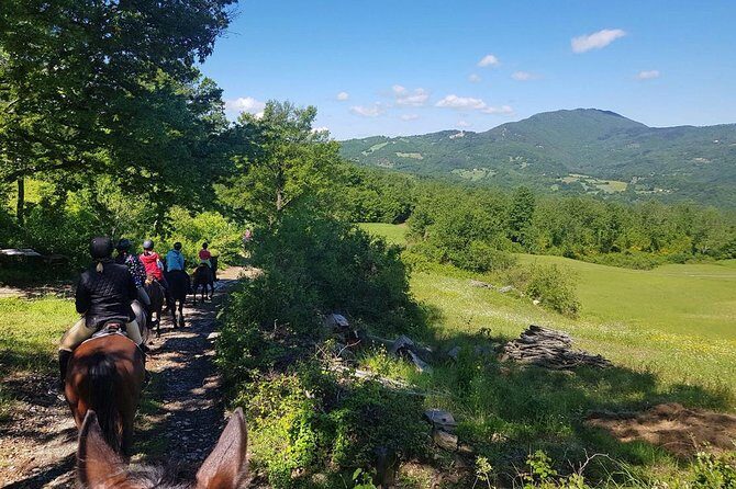 Horse Riding in Tuscany for Experienced Riders: Full-day Trail Ride - Lunch picnic in the Tuscan countryside: tasty, but plan your patience