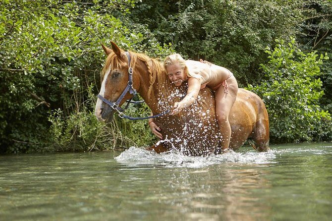 Horse Riding in Tuscany for Experienced Riders: Full-day Trail Ride - Who this ride is best for (and who should pick something else)
