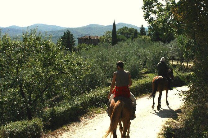 Horse Riding in Tuscany for Experienced Riders: Full-day Trail Ride - Gaits, hills, and horse quality: what advanced riders should expect