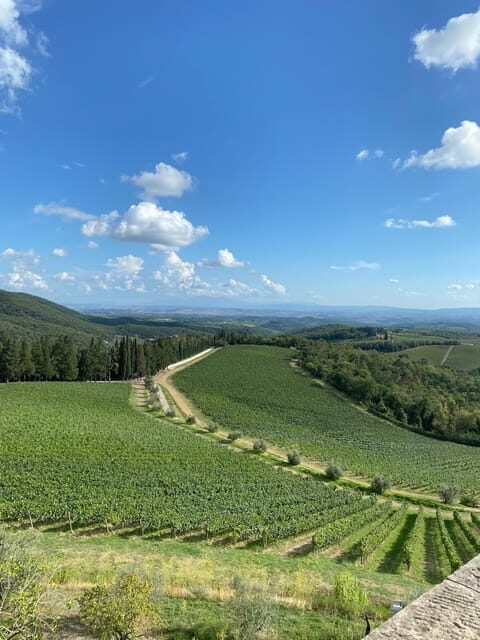 Horseback Riding with Wine Tour from Florence - Practical tips so the day feels smooth, not stressful